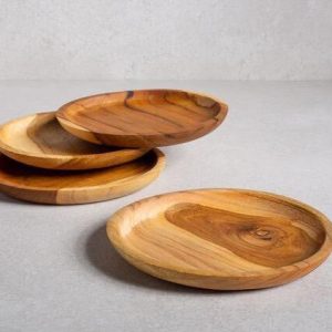 Circle Plate（圆盘）